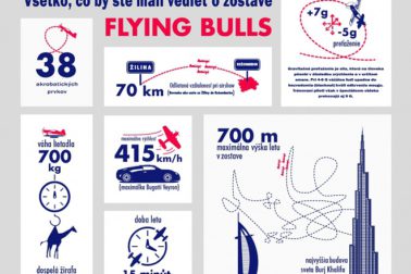 flying bulls