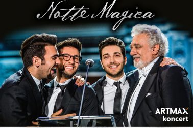 Il volo plagat