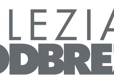 logo ZP