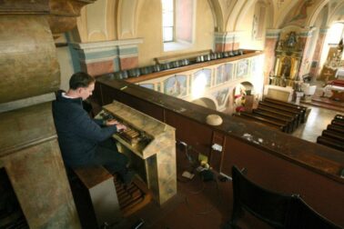 matus kucbel a organ