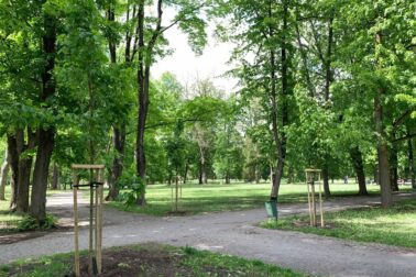 mestsky park3