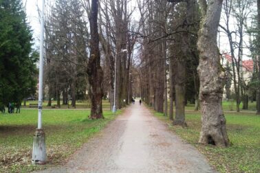 mestsky park4