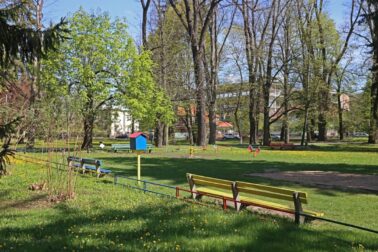 mestsky park2