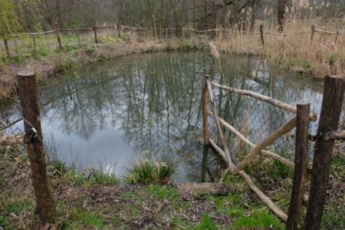 záchranný chov Žiar nad Hronom