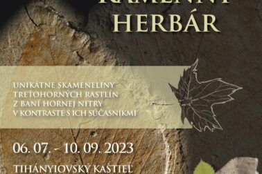 kamenny herbar