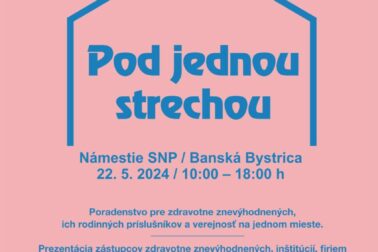 Pod-jednou-strechou plagat