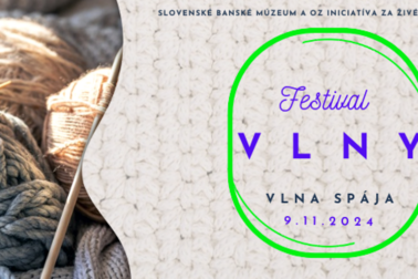 plagat festival vlny