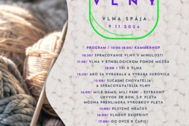 program festival vlny