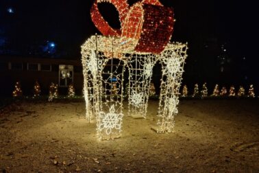 svetelny park7