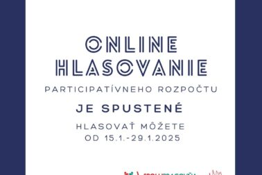 online hlasovanie