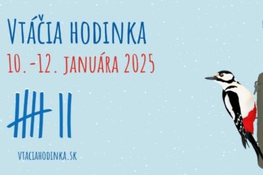 Vtáčia hodinka 5.-7. januára 2024 (1200 x 630 px) - 1