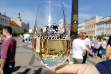 vinspacirka6