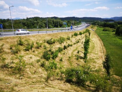 R1 z Banskej Bystrice do Slovenskej Ľupče